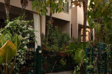 Yeşillik bej bir binanın dışındaki avluyu dolduruyor.