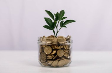 Kavanozdaki madeni paralardan büyüyen bitkilerle mali büyüme kavramı