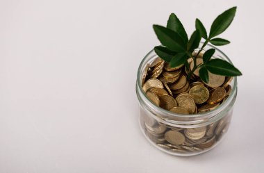 Büyüyen Yatırım: Finans ve Tasarruf Tesisi ile Kavanozdaki Paralar
