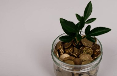 Bozuk para kavanozu ve büyüyen bir bitki ile para yetiştirme kavramı, yatırım büyümesini temsil eder.