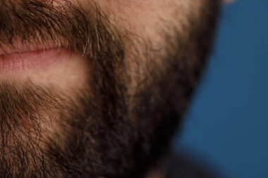 Erkek Sakalı ve Dudaklarının Yakın Çekimi, Doku ve Ayrıntıları Gösterme