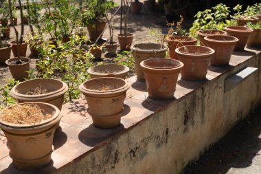 Terracotta kapları numaralandırılmış ve taş bir duvara dizilmiş.