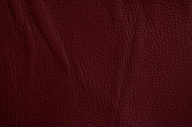 Lüks Burgonya Deri Dokusunun Yakın Çekimi, Ayrıntılı Yüzey