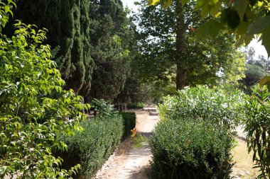 Bir patika, yemyeşil bir bahçede esiyor.