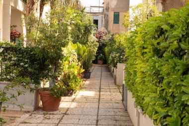 Yeşilliklerle dolu bir tuğla geçit ıssız bir yere açılıyor.