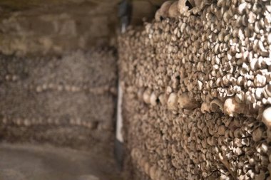 Tamamen insan kemiklerinden yapılmış bir duvar.