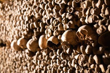 Yığılmış kafatasları ve kemiklerden bir duvar