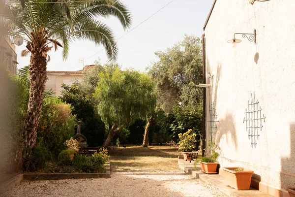 Sakin bir bahçe yolu beyaz yıkanmış bir duvara çıkar.