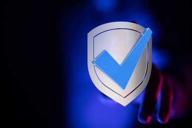 Kalkan ve kontrol işaretli veri koruması güvenliği simgeliyor, güvenli ve onaylı