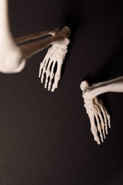 Karanlık arka planda anatomik iskelet ayakları, tıp bilimi konsepti