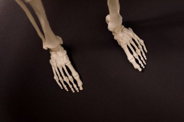 Kara Arkaplanda İnsan İskelet Ayakları - Anatomi ve Tıp