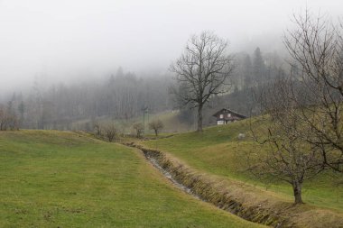 Kır Evi ve Yeşil Tarlalı Puslu Alp Manzarası