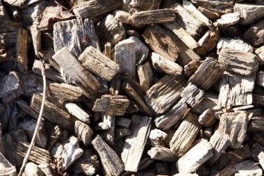 Ahşap Kırıntıları Dokusal Arkaplan Detayına Yakın plan