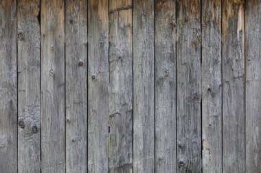 Kırsal ahşap arka plan, doğal gri eskimiş tahtalar.