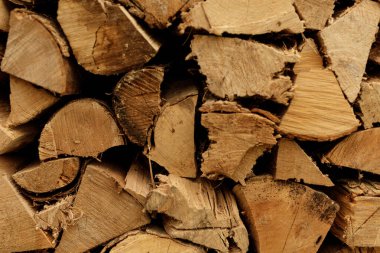 Kışa Hazır Odun Yığını