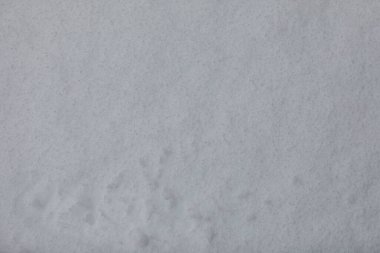 Tasarım için köpüklü madde arkaplanının soyut dokusu