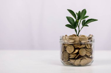 Yatırım Büyüme Konsepti: Kavanozda Bitki Yetiştiren Paralar