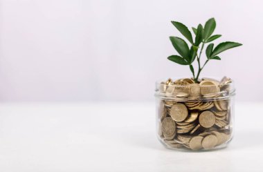 Büyüyen Para Konsepti: Bozuk para, tasarruf ve yatırım metaforunda bitki