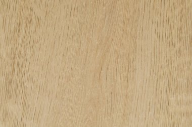 Doğal Açık Meşe Ağacı Özellikleri