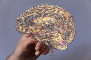 İnsan Beyni: Nörolojik Ağ Görselleştirme