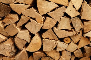 Kış için kesilmiş odun yığınları