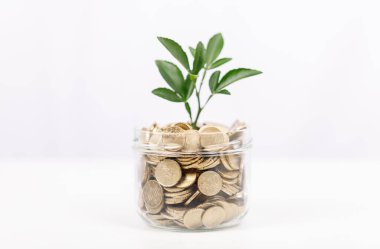 Büyüyen Mali Yatırım: Madeni Para Kavanozundaki Bitki Büyümeyi Temsil Ediyor