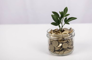 Finansal Büyüme: Cam Kavanozdaki Madeni Paralar ve Bitkiler, Yatırım Konsepti