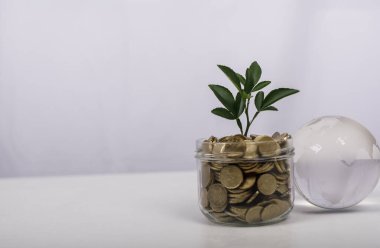 Green Growth 'a Yatırım: Globe ile Madeni Paralardan Bitki Filizlenmesi