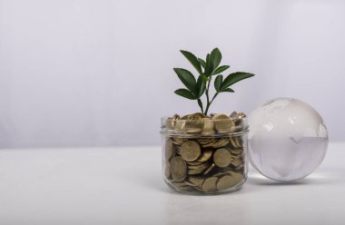 Para Büyüme Konsepti: Madeni paralardan filizlenen bitki, Dünya 'yı temsil eden dünya