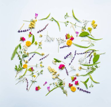 Hafif kağıt arkaplanda bahar çiçekleri kompozisyonu