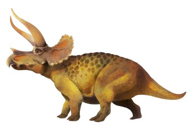 Triceratops. Beyaz arka planda dev bir dinozor. Suluboya çizimi.