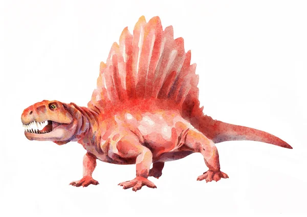 Dimetrodon. Tarih öncesi hayvan. Suluboya çizimi.