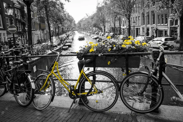 Amsterdam 'da kanal üzerindeki köprüde yalnız sarı bir bisikletin resmi. Arkaplan siyah beyaz.