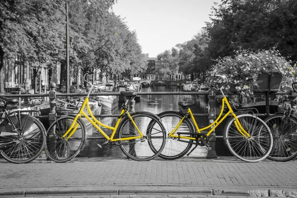 Twee Frisse Gele Fietsen Straten Van Amsterdam Symbool Voor Schoon Rechtenvrije Stockfoto's
