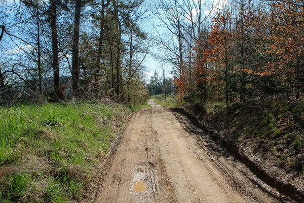 Route Gravier Forêt Boueuse Dans Campagne Dans Sud Bohême République — Photo