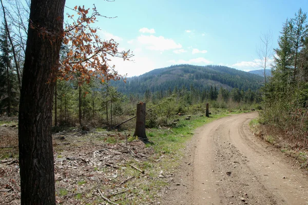 Camino Grava Fangoso Bosque Campo Sur Bohemia República Checa Foto — Foto de Stock