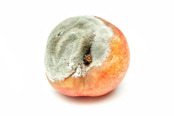 Une Photo Une Nectarine Pourrie Forme Est Déformée Elle Est — Photo