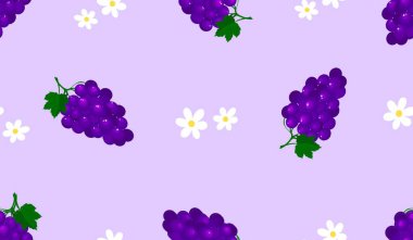 Mor üzümsüz arkaplan..