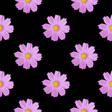 Cesur Siyah Arkaplanda Zarif Çiçek Şablonu