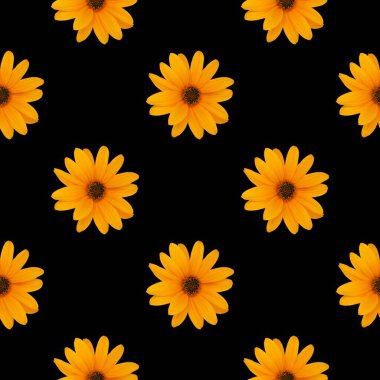 Cesur Siyah Arkaplanda Zarif Çiçek Şablonu