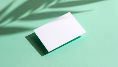 Parlak Katı Renk Arkaplanı üzerine İş Kartı Yapılandırması