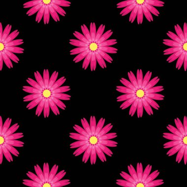 Cesur Siyah Arkaplanda Zarif Çiçek Şablonu