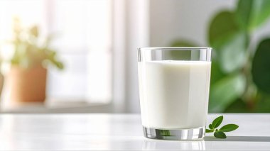 Asgari Biçimli Taze Süt Kadehi ve Kopyala Boşluğu