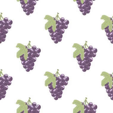 Mor üzümsüz arkaplan..