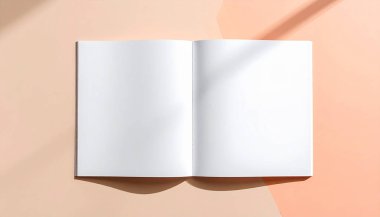 Parlak Renk Arkaplanı ve Temiz Modern Biçimli A4 Broşürü