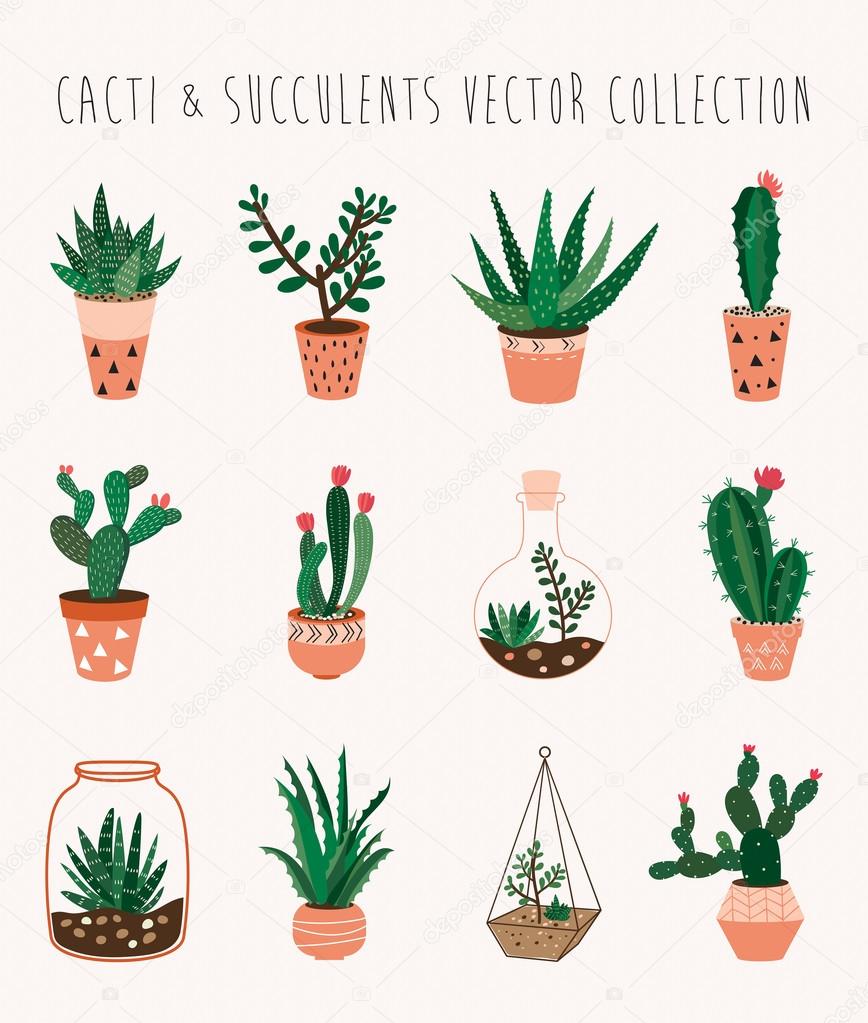 Vetores de Coleta Vetorial De Cactos Desenho Desenhado À Mão Conjunto De  Desenho Animado Ilustração e mais imagens de Flor - iStock