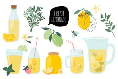 Farklı elementlerle yaz taze limonata koleksiyonu