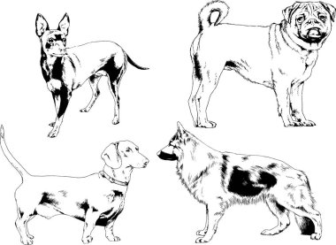 Vektör çizimleri, arka planı olmayan nesneler, mürekkeple çizilmiş soylu köpek ve kedileri çizer.