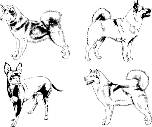 矢量绘图素描用笔画的家犬和猫 没有背景的物体 — 图库矢量图片