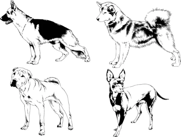 Векторные Рисунки Эскизы Родословных Собак Кошек Нарисованных Чернилами Вручную Объектов — стоковый вектор